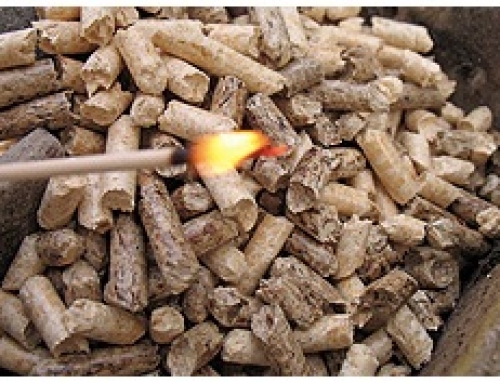 Aggregated Micro Power move strongly into wood fuel