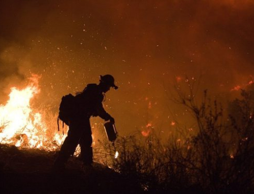 Catastrophic Wildfires On Track to Increase 1/3 by 2050